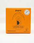 Infusion bio énergie naturelle AUDACE, SACHETS